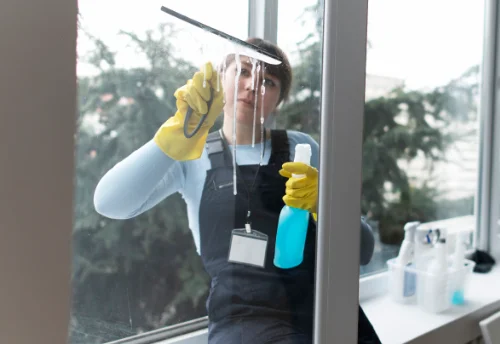 Nettoyage de vitres intérieures et extérieures à la Chèze